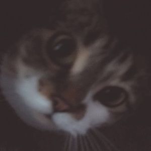 Meet your Posher, Jacqueline